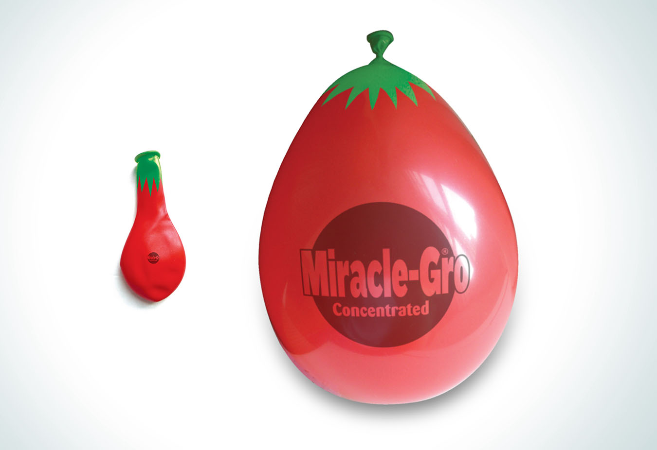miraclegro_insert