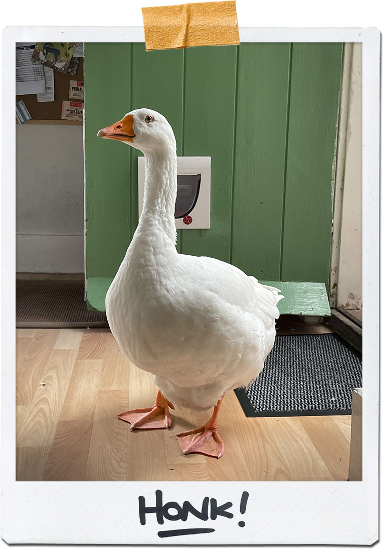 artist messeservice-team-willi-voss-01